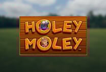 Holey Moley