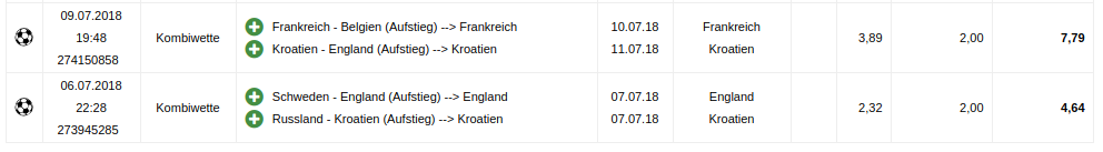 Auszug aus dem Gewinnprotokoll