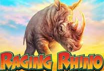 Raging Rhino